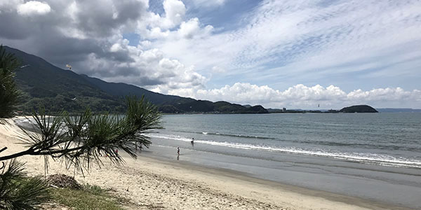 �X���̑�H�m1