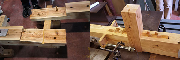 10���̑�H�m7