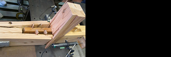 10���̑�H�m8